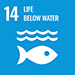 SDG 14 Life Below Water