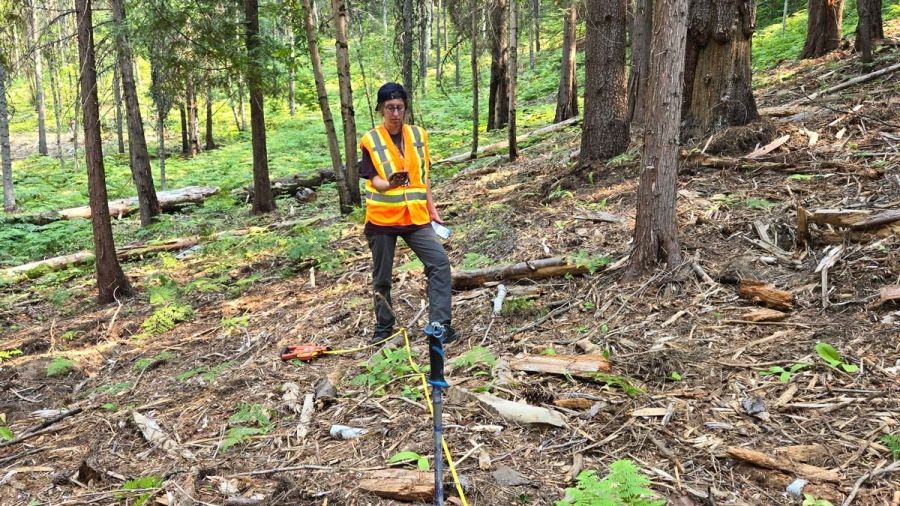 A student wearing an orange vest works in a forest